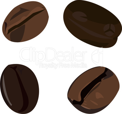 Realistic illustration of coffee beans
