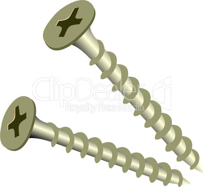 Realistic illustration screw isolated of white