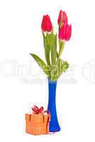 Red tulips in blue vase and gift box on a white background