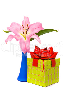 Pink lily and gift box on a white background