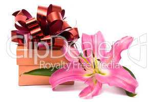 Pink lily and gift box on a white background