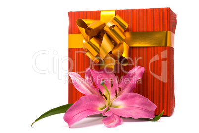 Pink lily and gift box on a white background