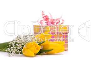 Yellow tulips and gift box on a white background