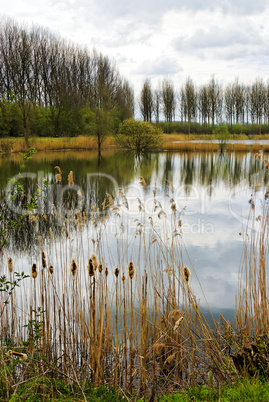 scenic lake landscape