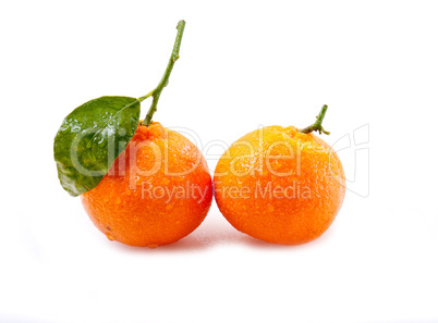 Tangerine with green leaves