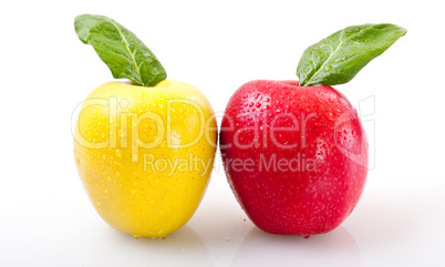 apple on a white