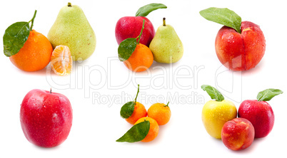 fruits with green leaves