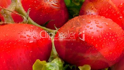 Tomaten und Salat