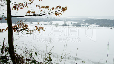 snowy landscape