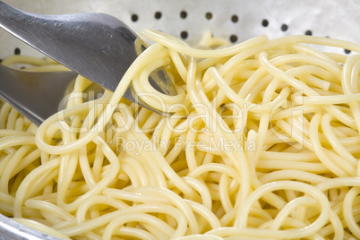 Spaghetti close up