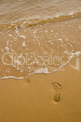 traces on the beach