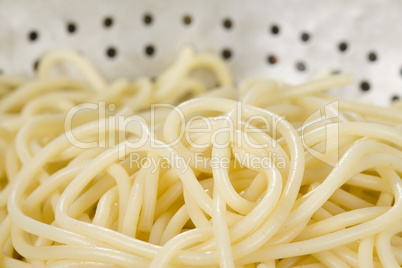 Spaghetti Gegenlicht