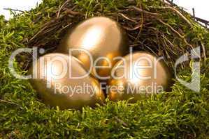 Golden eggs in a nest