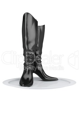 Female's boots