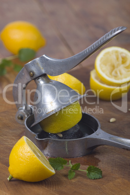 Zitronenpresse hoch