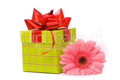 Pink gerber flower and gift box on white background