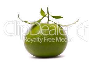 Fresh grapefruit isolated on a studio white background.