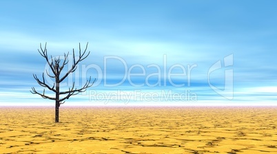 Dead Tree In The Desert