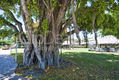 Park in Miami, Florida