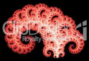 Red swirl fractal