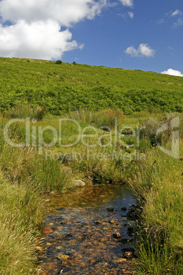 Kleiner Bach im Dartmoor, Devon, England, bei Cornwall