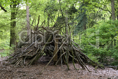 primitive shed in the wood