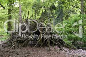 primitive shed in the wood