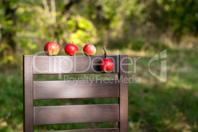 Ripe red apples on the back of chair