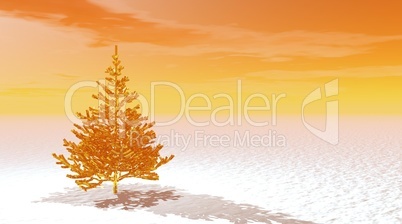 Gold fir tree on snow by sunrise Gold fir tree on snow by sunrise