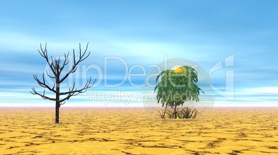 Trees dead and alive in desert