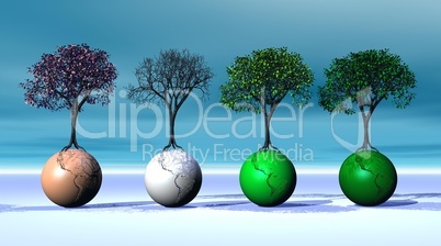 Four seasonal trees on four earth
