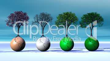Four seasonal trees on four earth