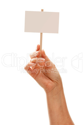 Woman Holding Blank White Sign Isolated on White