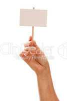 Woman Holding Blank White Sign Isolated on White
