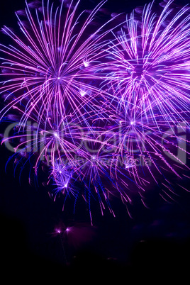 Violettes Feuerwerk