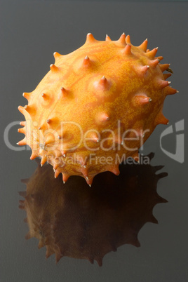 Horngurke - Horned Melon