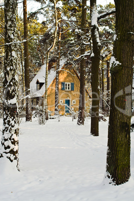 Haus im Wald, house in forest