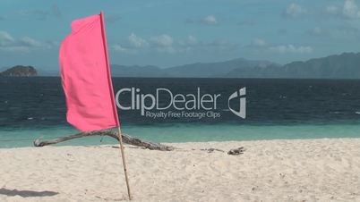 Flag on the tropical beach