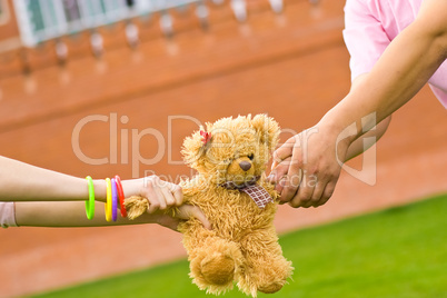 boy's and girl's hands holding small teddy bear