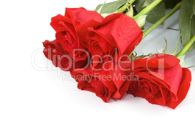 bouquet of five red roses