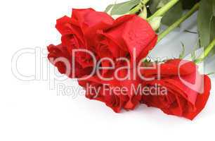 bouquet of five red roses