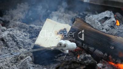 toasting Marshmellows over fire