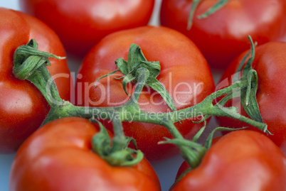 Fresh Tomatoes, Tuscany