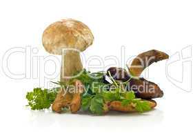 Group of mushrooms and green parsley