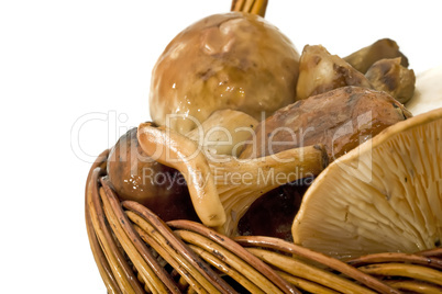 Mushrooms Heap in the basket