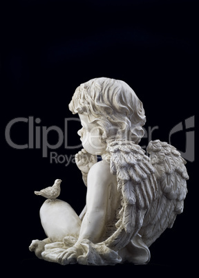 Side view of small angel
