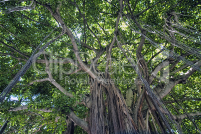 Park in Miami, Florida