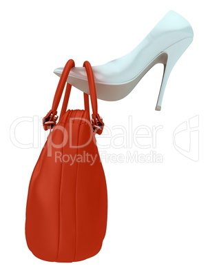 Women's bag and shoe