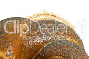 Closeup of bagel and  wheat corn isolated