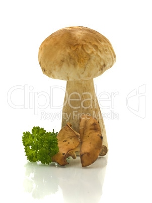 Mushrooms and green parsley